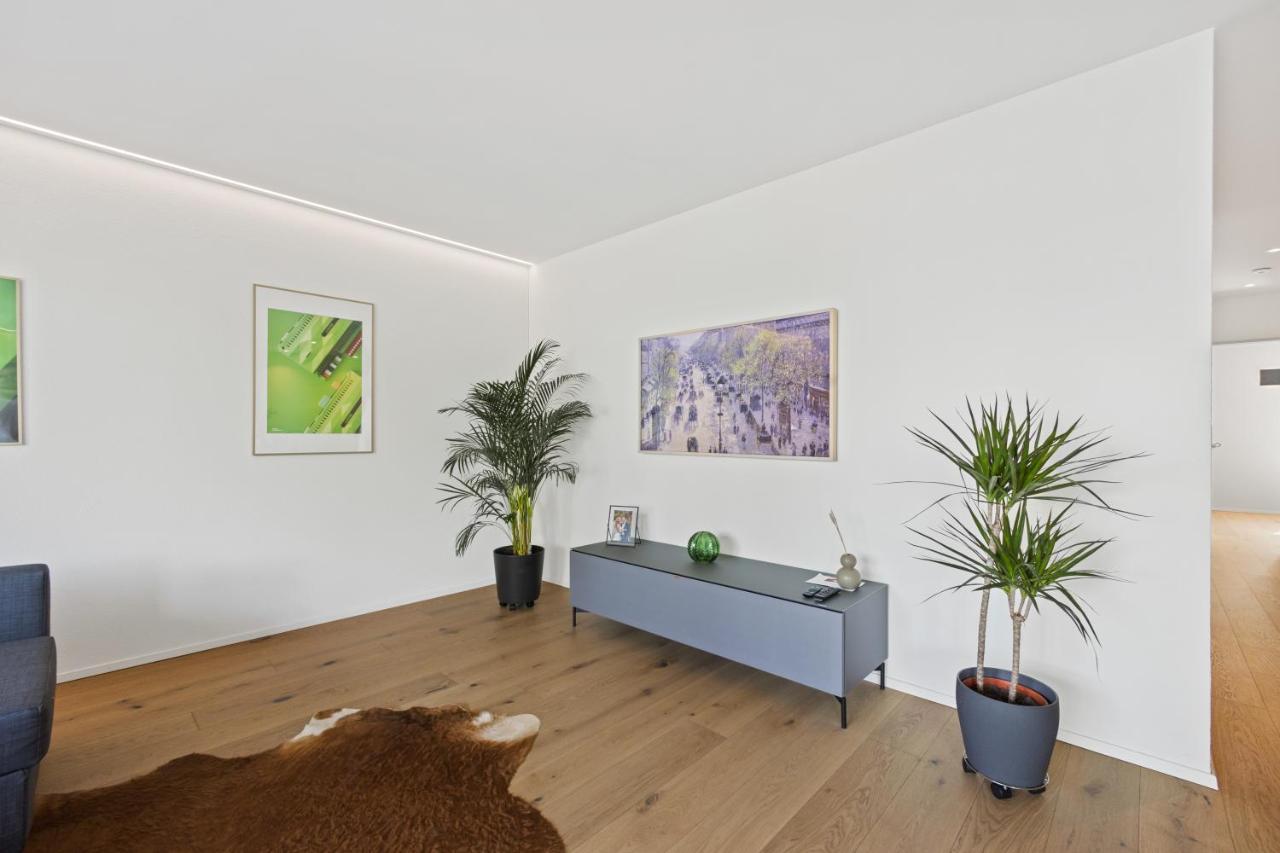 The R Apartment Uetliberg, Klima, Parken - Wallbox Geroldswil Luaran gambar